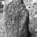 La Dogne