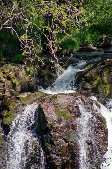 201905_Auvergne_LaC_223.jpg