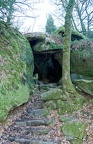 DSC 3968