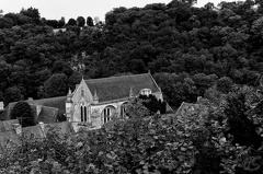 L'abbaye vu du château de Léhon (Ruine)