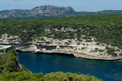 Bonifacio