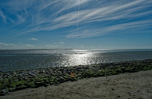 Berck